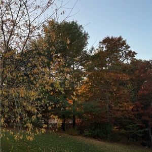 Meet your Posher, Zach